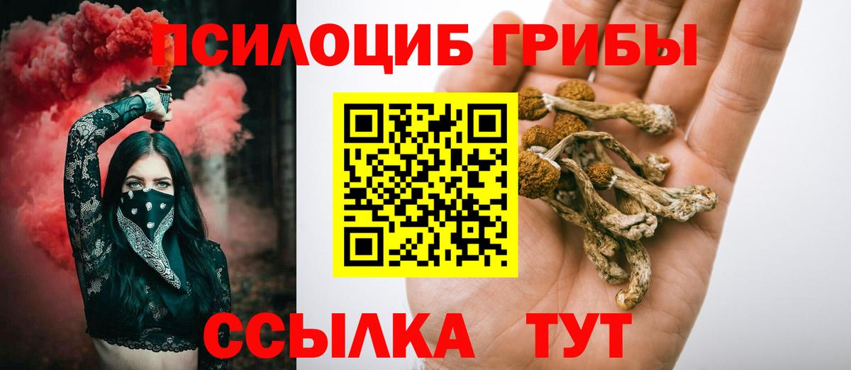 Псилоцибиновые грибы Cubensis  Вход с VPN  Малгобек  Псилоцибиновые грибы Psilocybe 