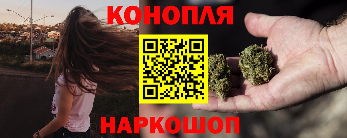 Конопля сатива Малгобек